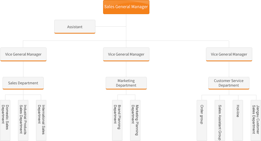 Sales Company Structure