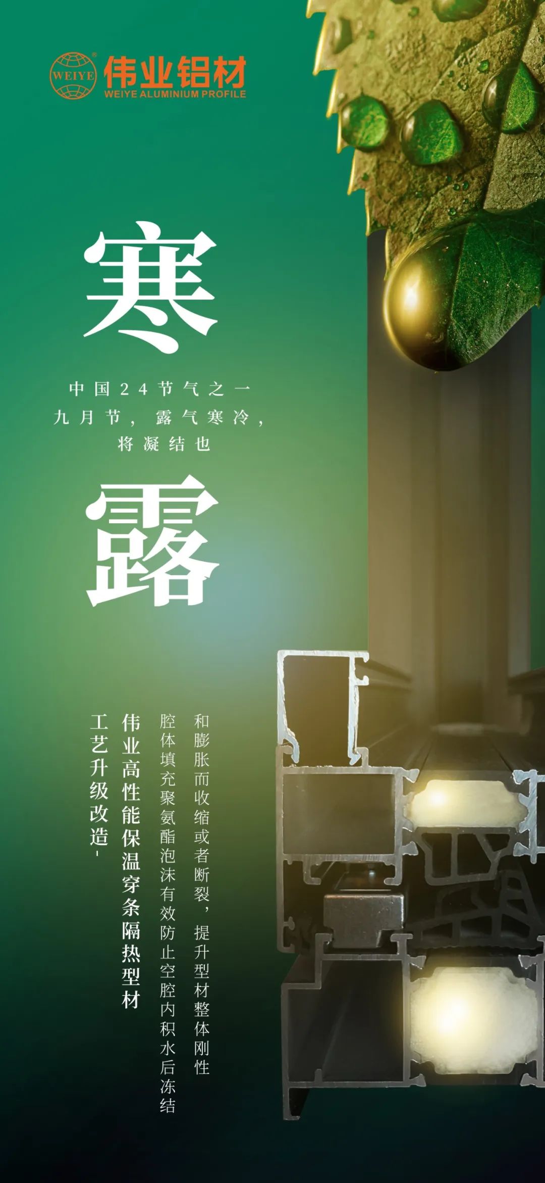 #寒露 九月节，露气寒冷，将凝结也 时光入深秋，岁月便深情